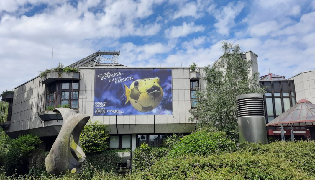 Aquazoo in Düsseldorf bietet Osterprogramm mit Basteln und Ferienworkshops