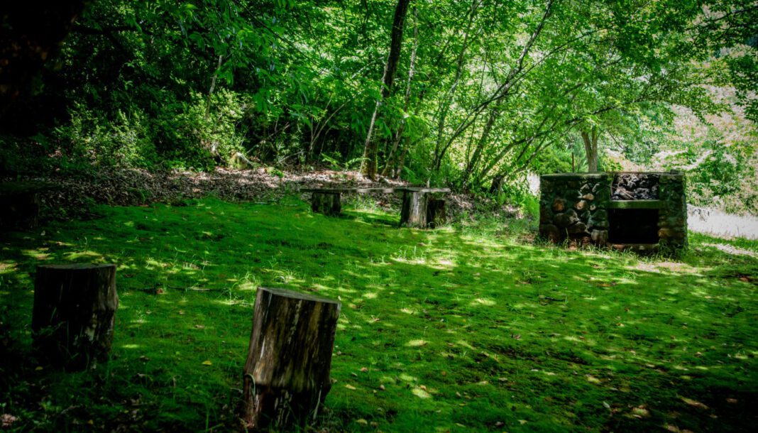 Düsseldorf öffnet städtische Grillplätze Anfang April