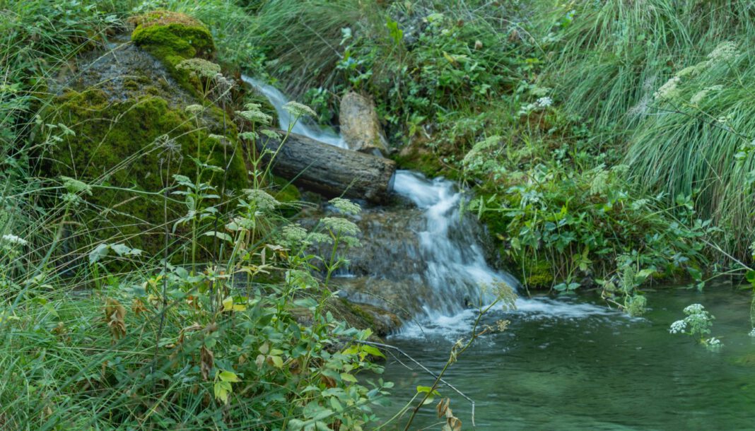 Düsseldorf startet 78 Naturführungen: Anmeldung für 'Unterwegs im Grünen' geöffnet