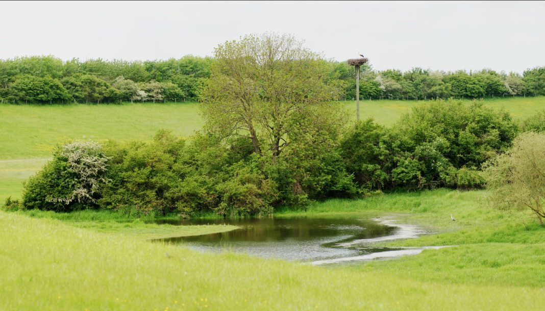 Duisburg errichtet Zäune in der Rheinaue Walsum zum Schutz brütender Vögel Duisburg errichtet Zäune in der Rheinaue Walsum zum Schutz brütender Vögel