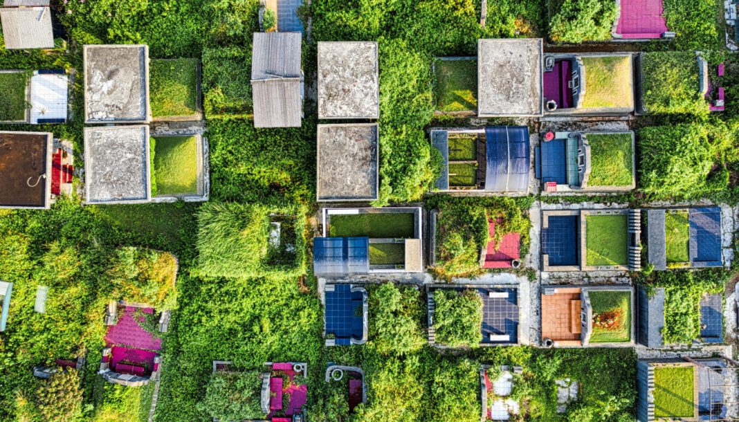 Köln will Zuschüsse für Dachbegrünung und Regenwassernutzung ausweiten Köln will Zuschüsse für Dachbegrünung und Regenwassernutzung ausweiten